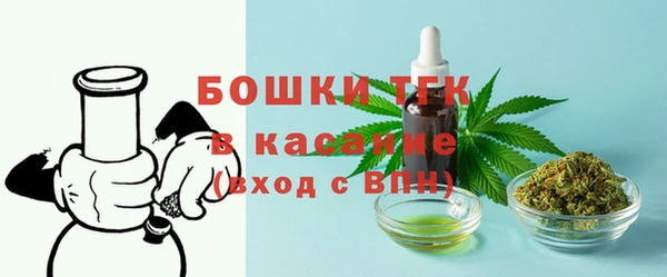 индика Белоозёрский