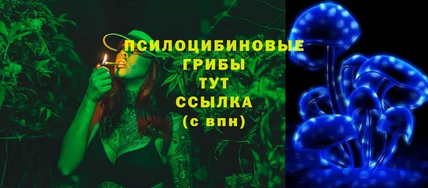 MDMA Premium VHQ Белокуриха