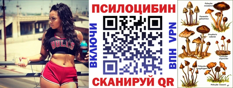 Псилоцибиновые грибы Cubensis  где купить   Очёр 